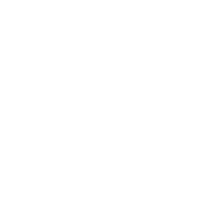 Hofor 300X300