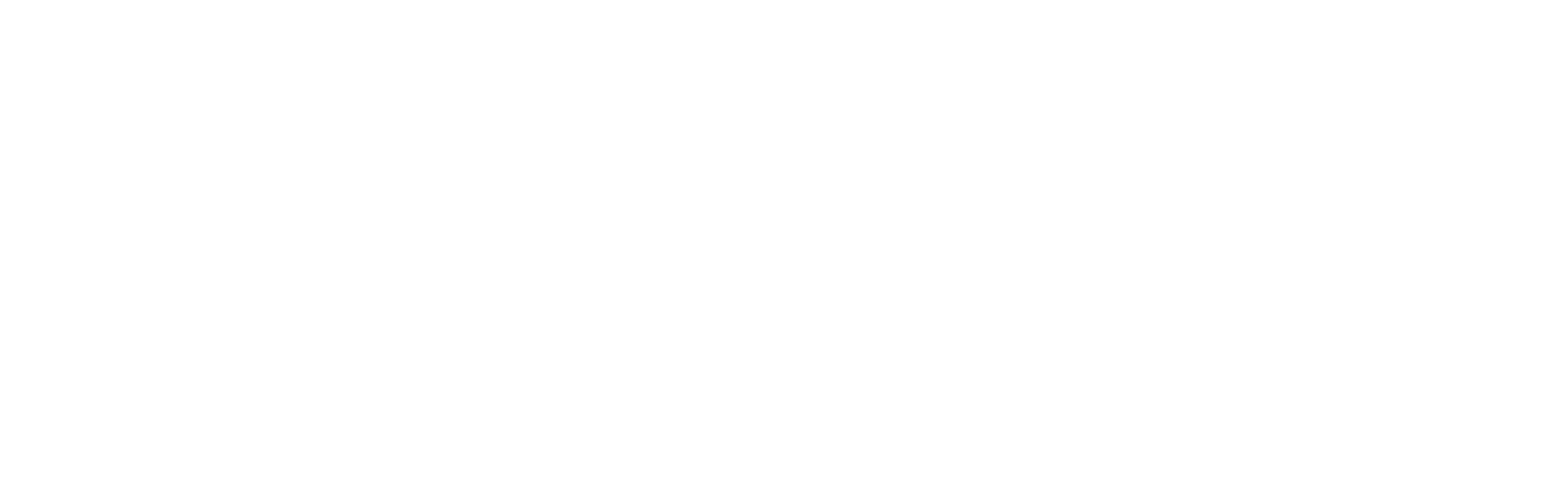 KMD NEC Logo WHITE Png